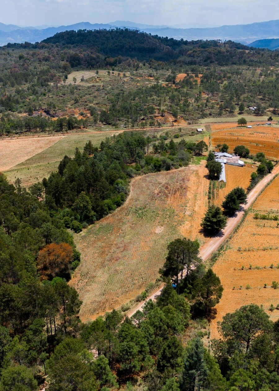 Terreno Capulaquito