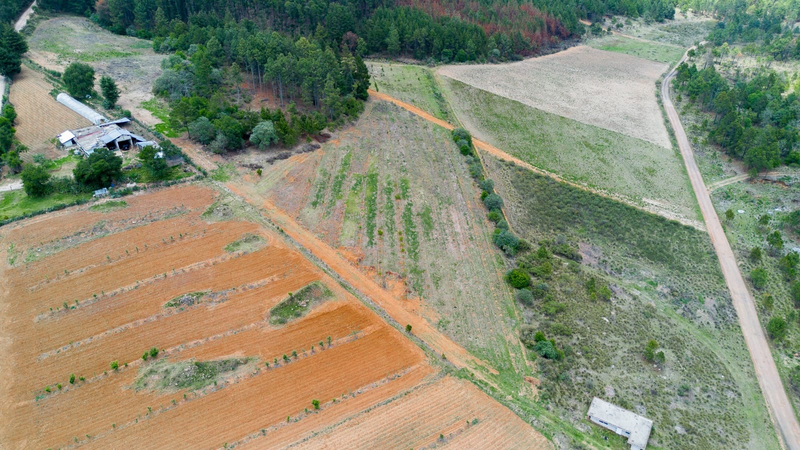 Terreno Capulaquito